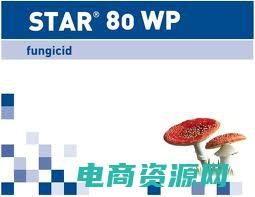 star800e (星800揭秘：一家神秘机构的投资策略)