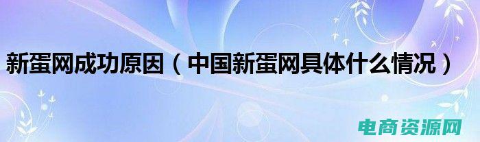 新蛋网2020年现状