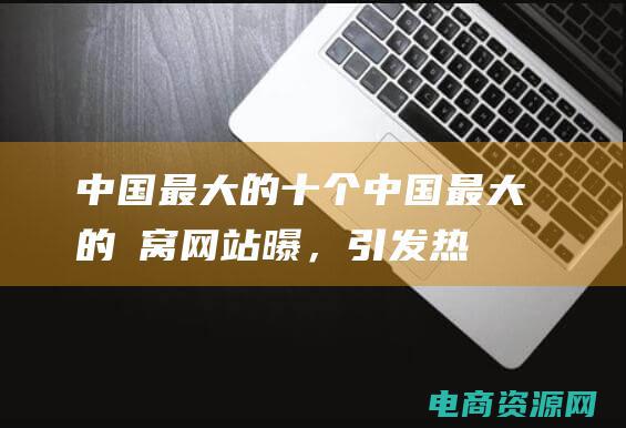 中国最大的十个 (中国最大的氿窝网站曝，引发热议)