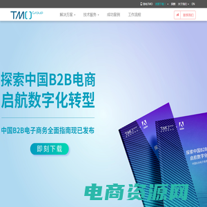 电商网站建设 - 品牌出海专家 - 跨境电商服务平台 - TMO group