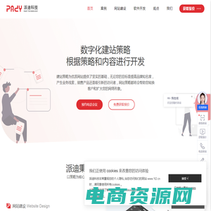 网站建设公司,网页设计制作,网站开发维护-杭州派迪