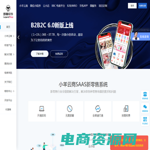 java商城_云商城_新零售系统_b2b2c商城系统_直播供应链-朗尊软件，企业级电商平台提供商