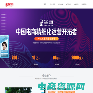 淘宝代运营公司-天猫网店托管-电商代运营「宝琏电商」