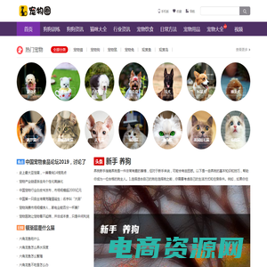 宠物吧 - 专注于宠物猫咪美容护理宠物狗狗训练教程